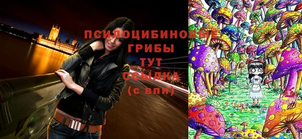 скорость Алзамай