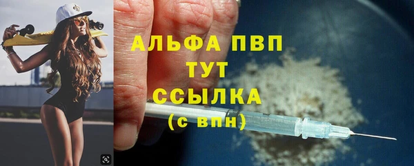 гашик Алексин