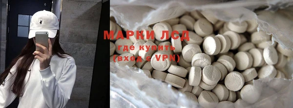 гашик Алексин
