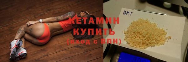 гашик Алексин