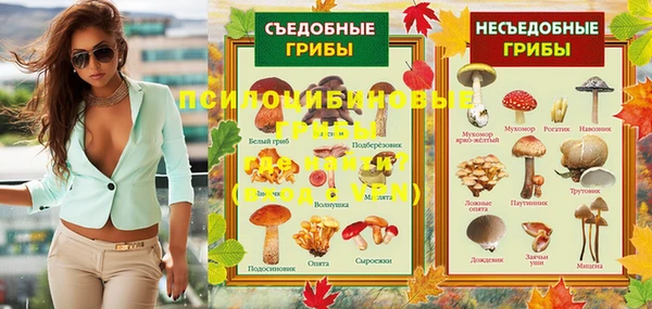молекула духа Михайловск