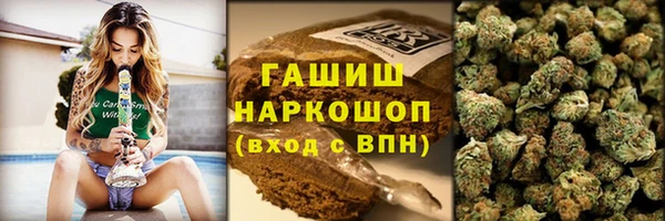 гашик Алексин