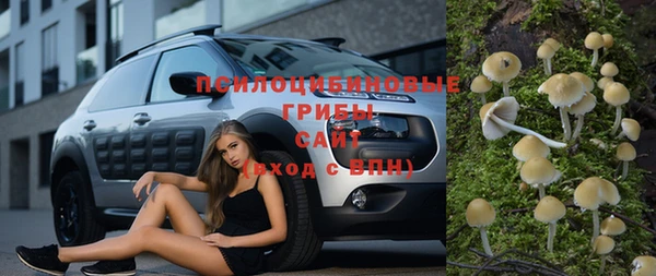 первитин Алексеевка