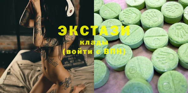 гашик Алексин