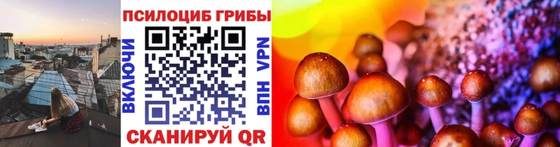 Псилоцибиновые грибы Psilocybe  Усть-Лабинск 